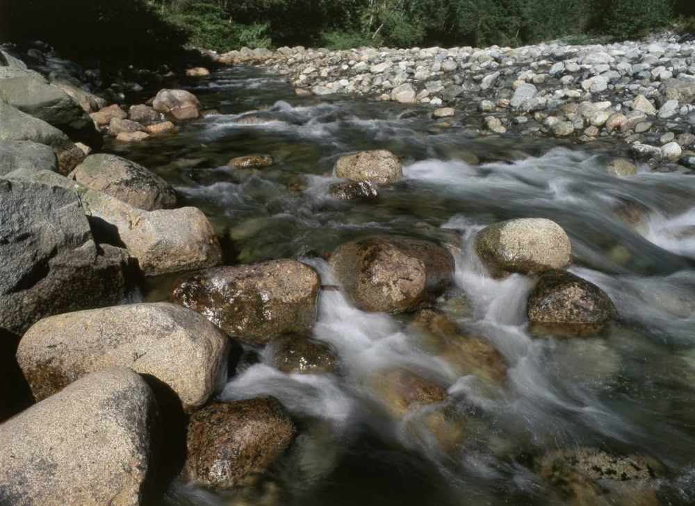 Canada, BC, Gold Creek at Golden Ears PP art print by Mike Grandmaison for $57.95 CAD